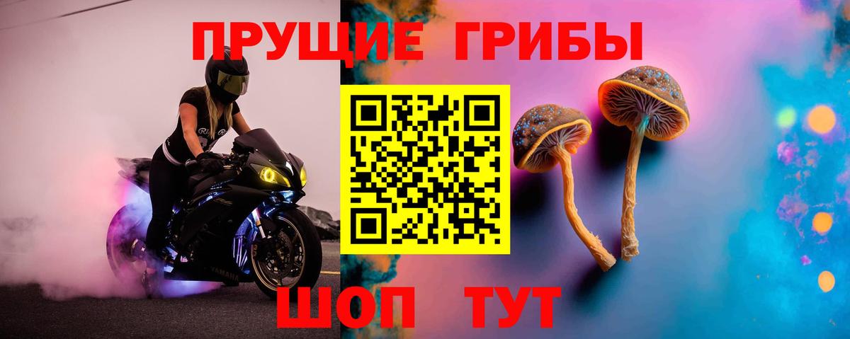 Псилоцибиновые грибы Psilocybe  Вход с VPN  Ишим  Галлюциногенные грибы Cubensis 